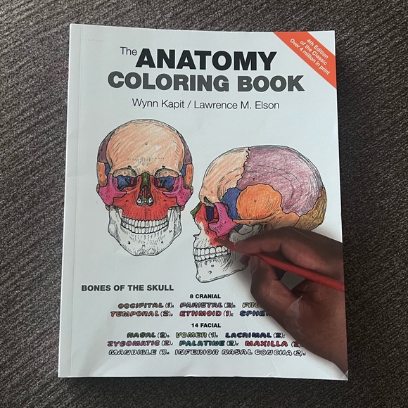 Anatomy Color Book - detailed! by Wynn Capit - Picture 1 of 4